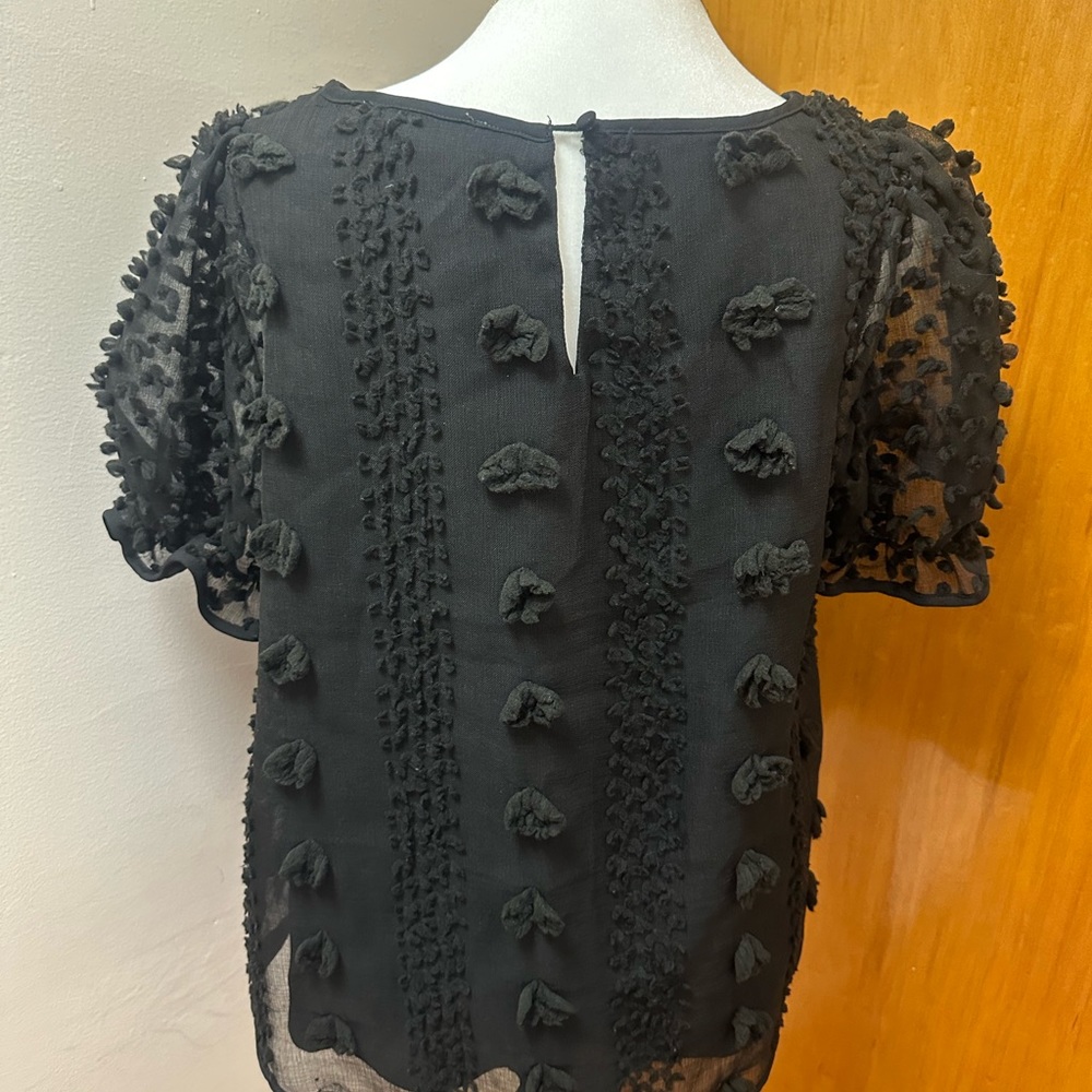 Sweet Wanderer Round Neck Pompom Blouse - Picture 2 of 3